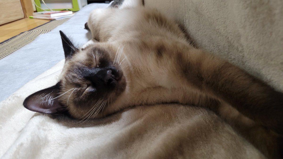 ぱっく tweet media