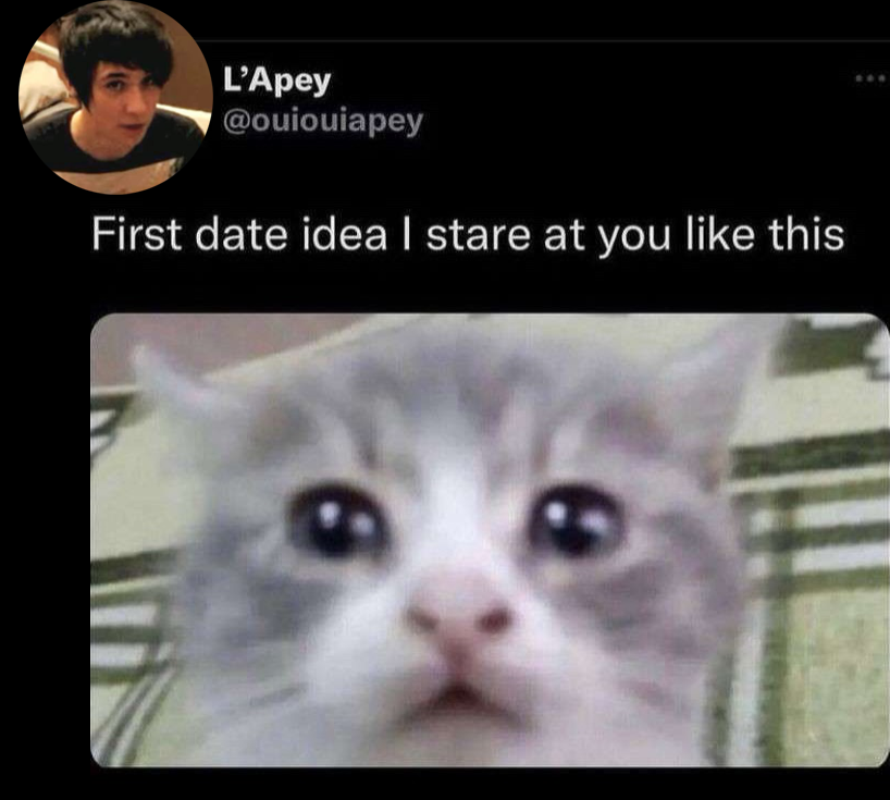 Dan & Phil as Random Posts tweet media