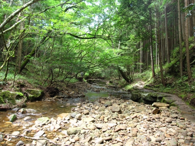 CBCラジオ【FM 93.7MHz / 91.8MHz】 tweet media