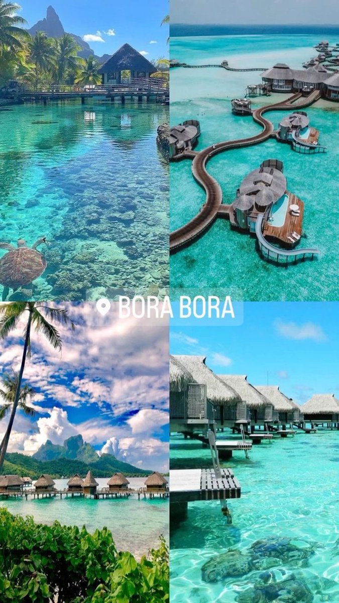 Beautifulgem234's tweet image. Where I’m trying to be this summer #sugardaddy #money #vacation #payme #spoiled