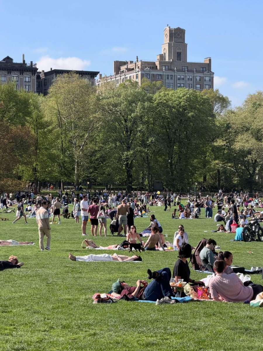 SmilesInMylove's tweet image. Sun’s out, city’s alive ☀️
No plans, just good vibes, green grass, and people enjoying the moment.
Sometimes the best days are the simplest ones.

#WeekendVibes #CityLife #GoodEnergy #SpringDays
