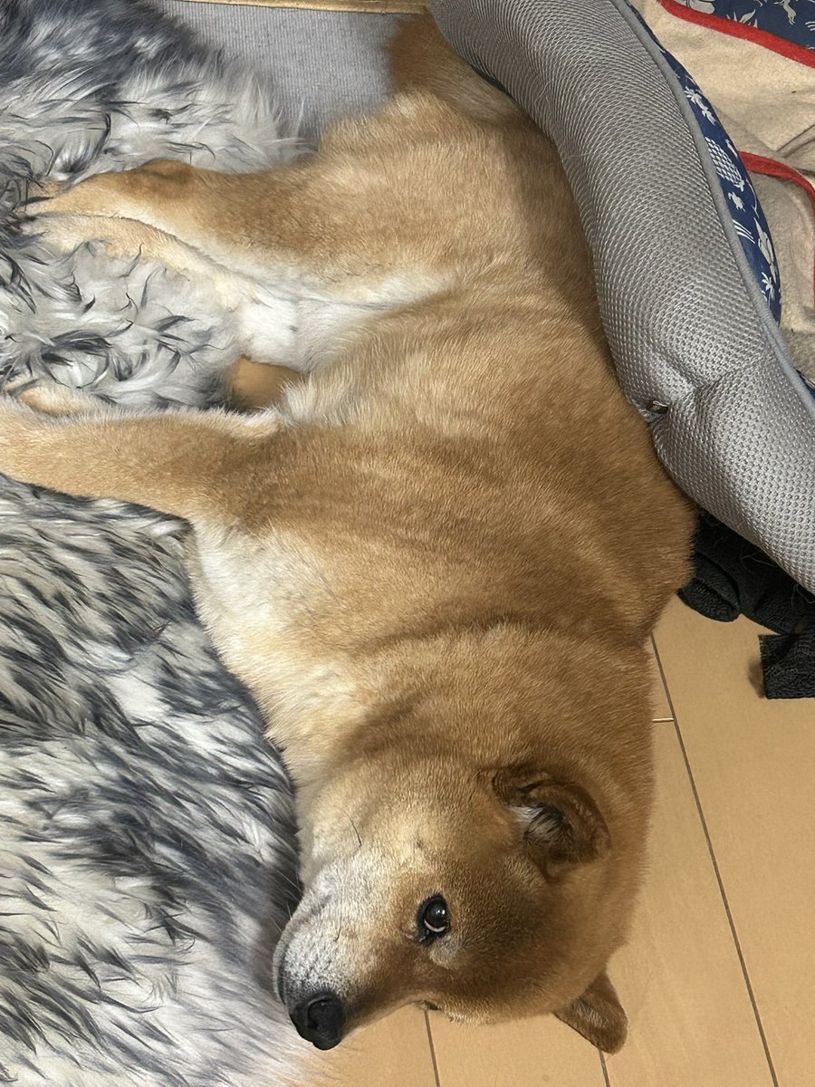 H I R O M I tweet media