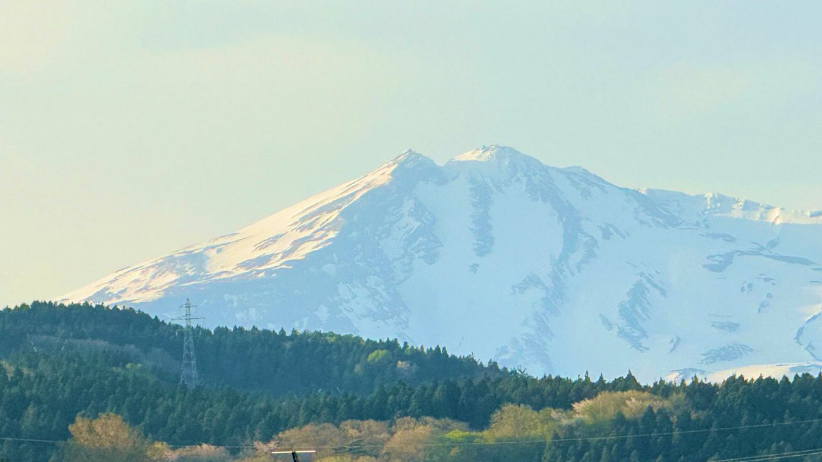 くろすけのとおさん(父さん)🐺 tweet media