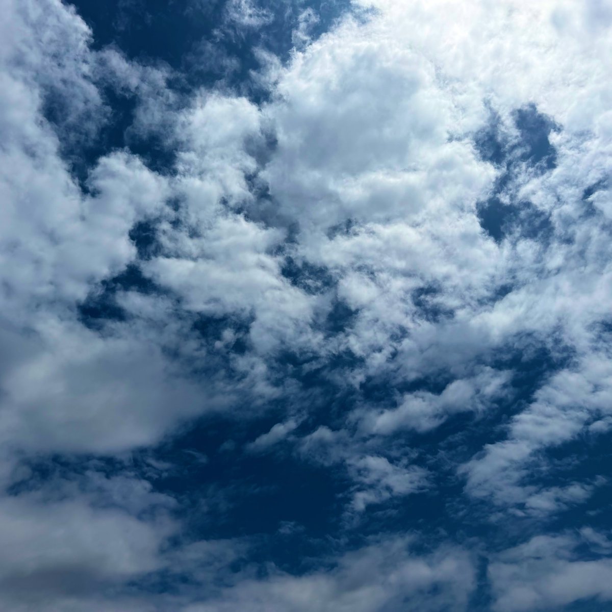 imagine works tweet media