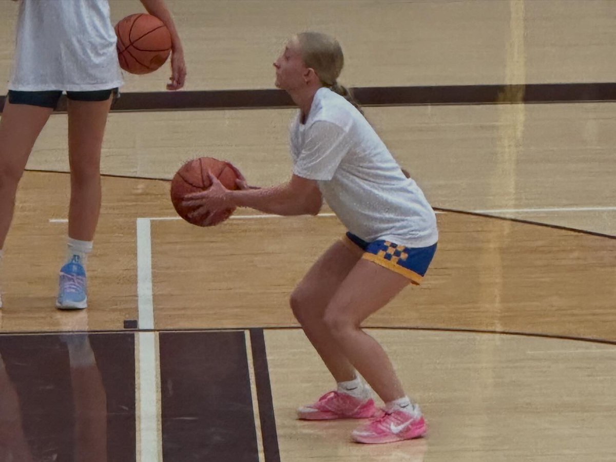 NDCL Girls Basketball tweet media