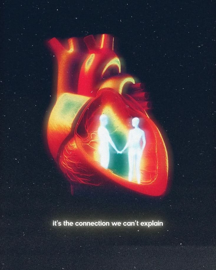 Nightbloom tweet media