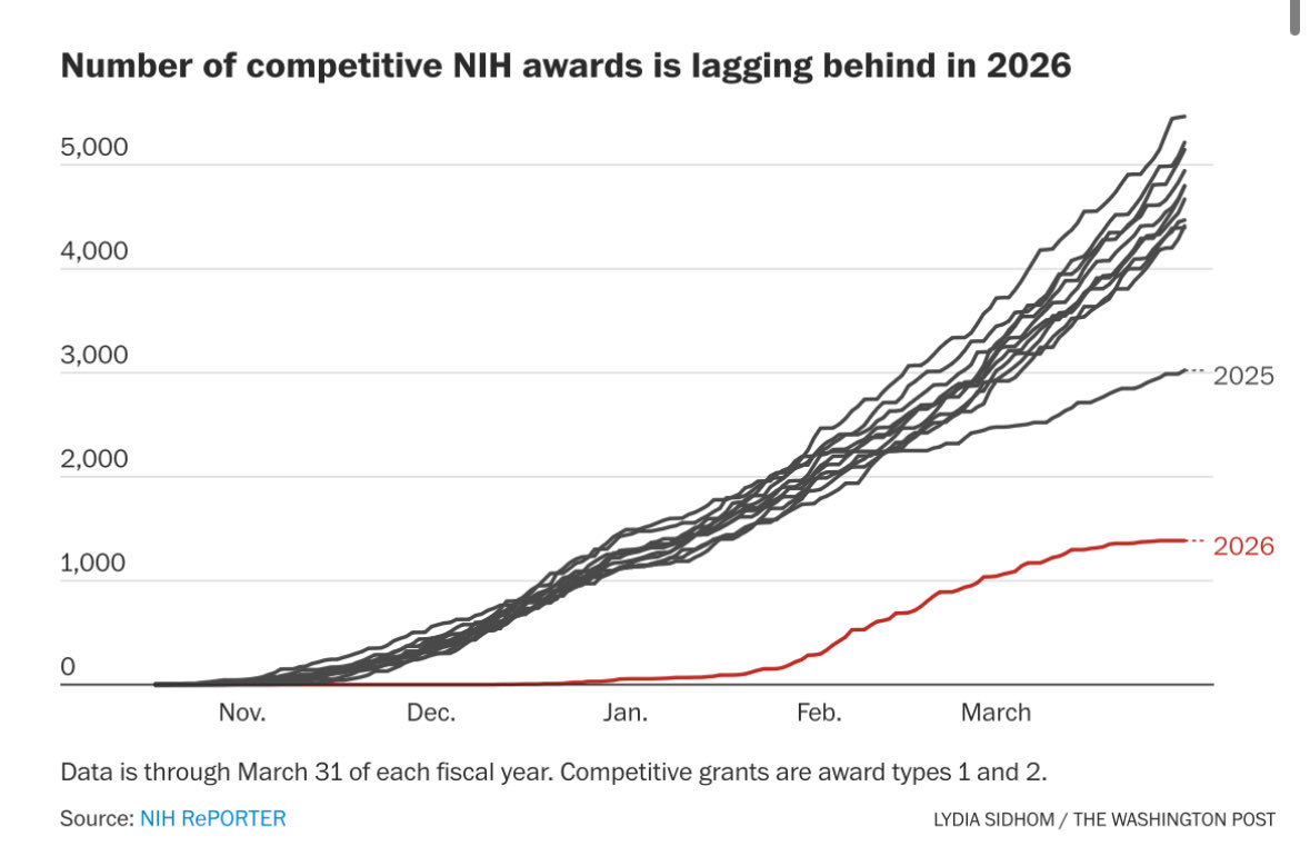 Dr. Catharine Young tweet media