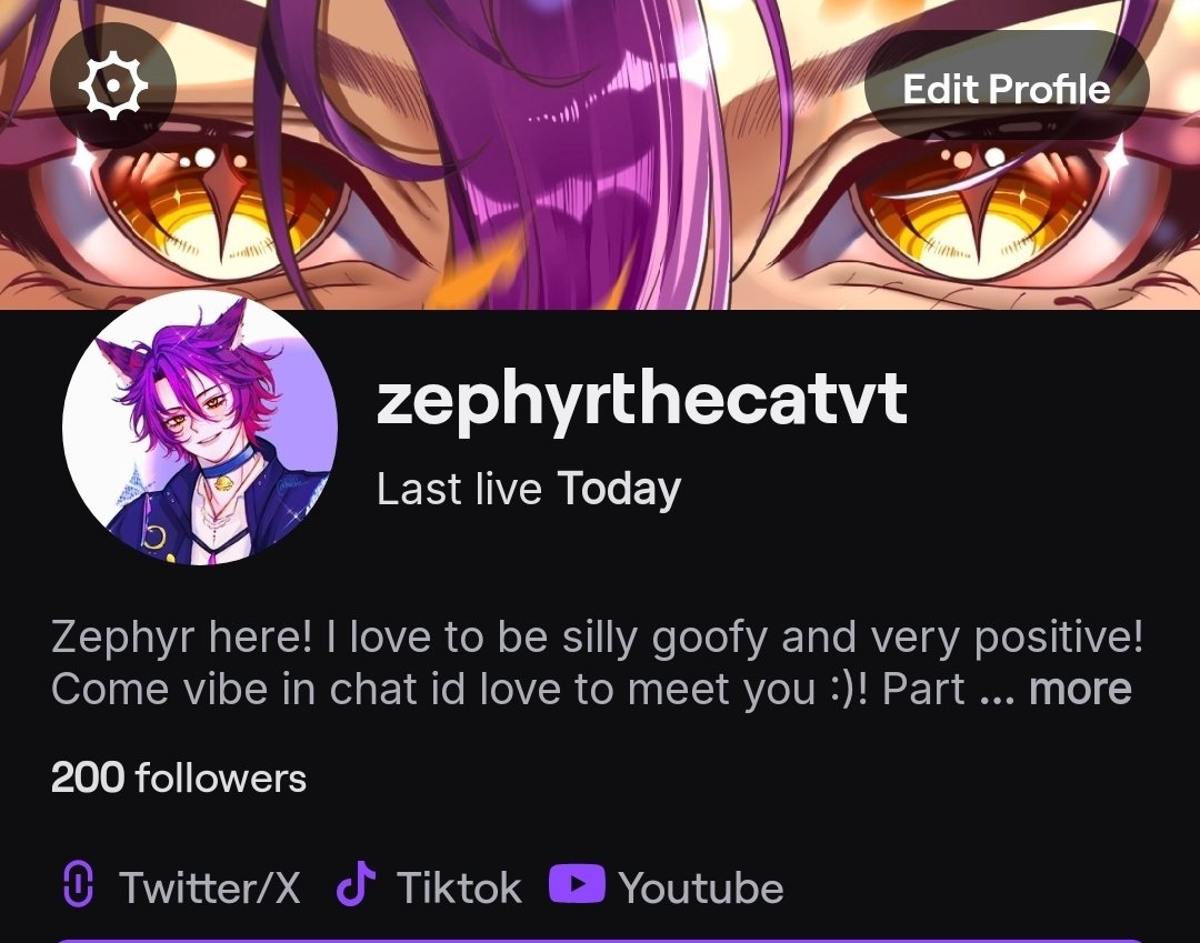 ZephyrTheCatVT tweet media