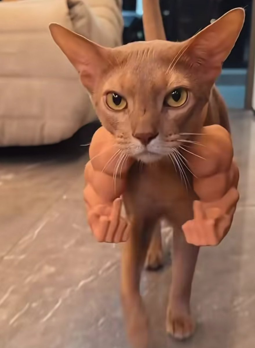 Io che penso al glicogeno che avrò domani a disposizione per l'allenamento dopo antipasto, lasagna e cheesecake porconissima.