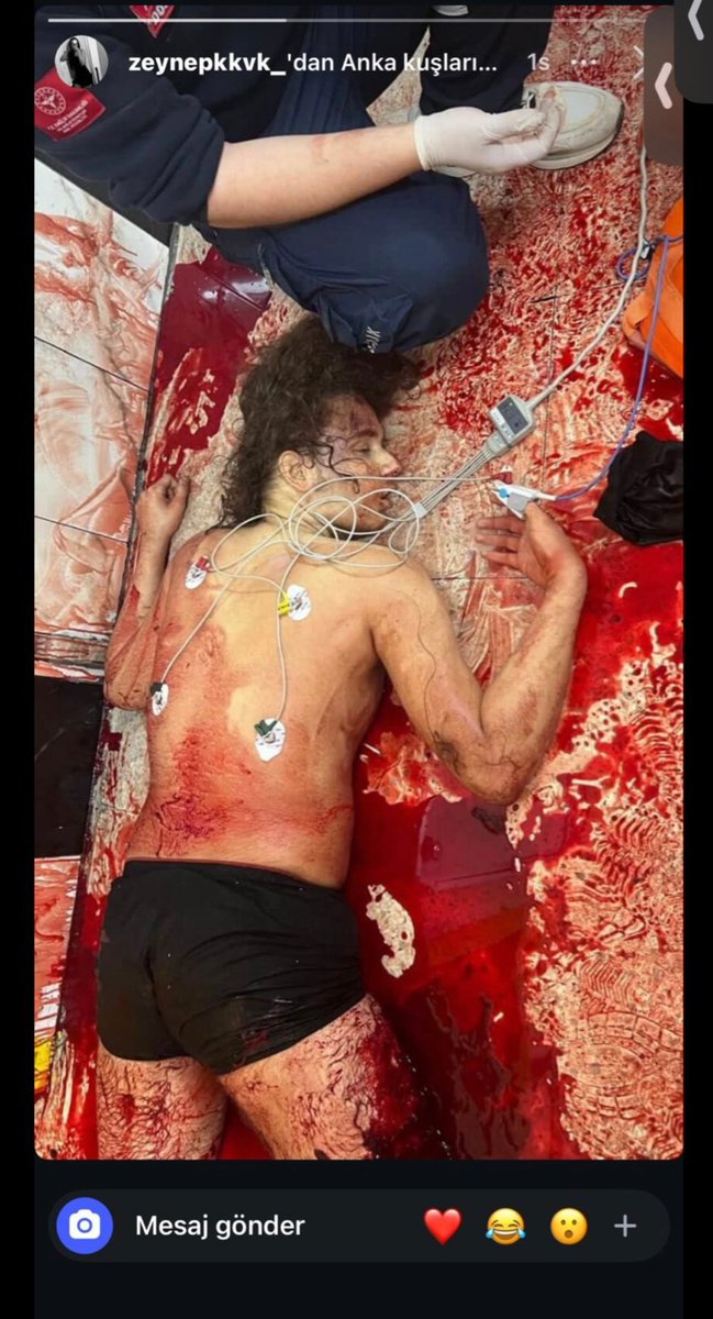 erenderlerw1905 tweet media