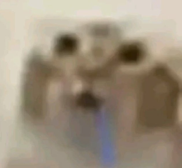 ͏ ͏ ͏ ͏ ͏͏ ͏ ͏ ͏ ͏͏ ͏ ͏ꌚ𝙸𝙻𝚅𝙴𝚁 ꅐ𝙾𝙻𝙵 ͏ / 👾 (@lesbowolfie) on Twitter photo 