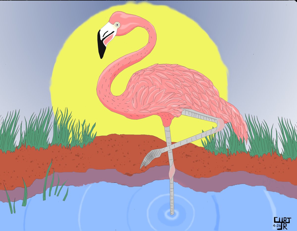 CURT_JR0's tweet image. Flamingo Sunrise
#flamingo #nature #birds #digitalart