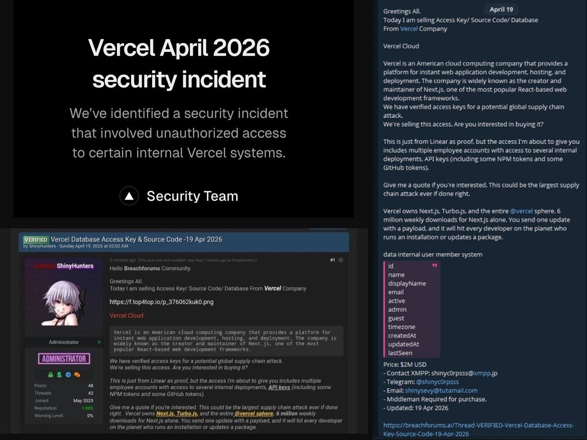 Crypto Sprout HQ base.eth 🍚 ⛓ tweet media