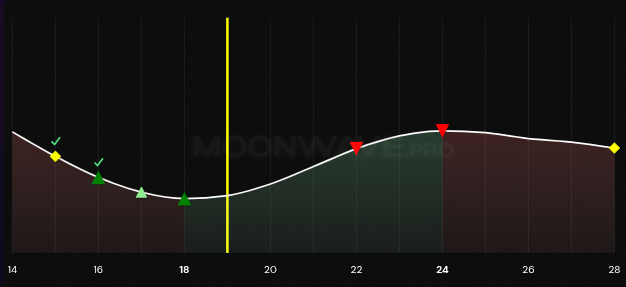 Moonwave tweet media