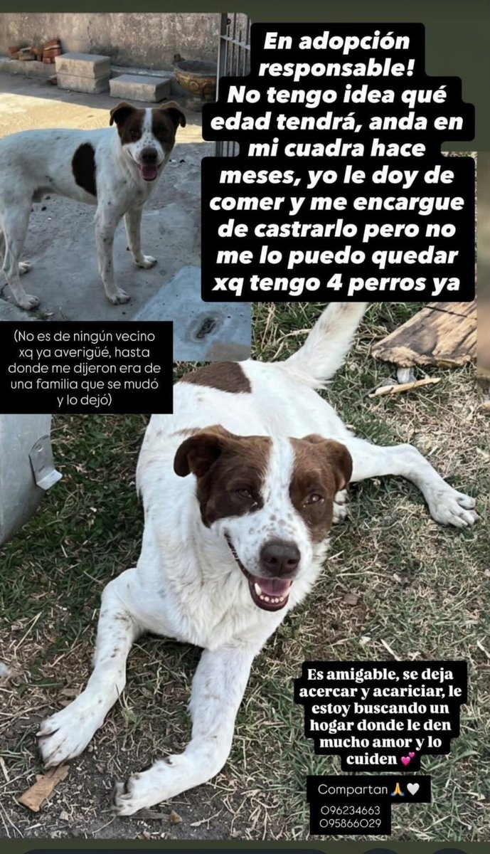 Si Rt ayudamos un montón. Gracias.