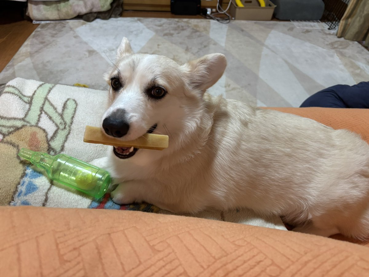 いちみ tweet media