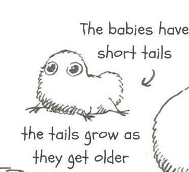 unfortunately every time i look at baby brushbuddies, i burst into tears