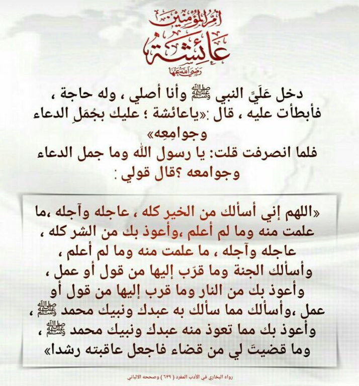 يارب 🤲🏼
