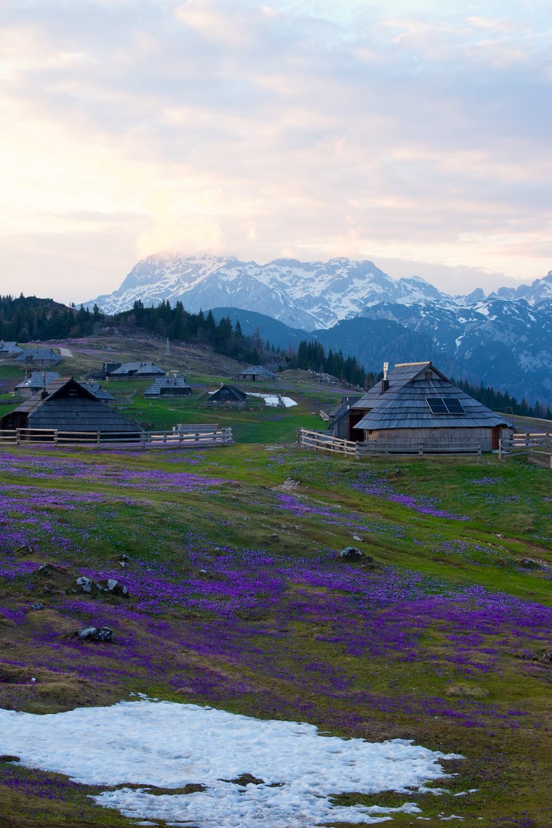 Exploring Slovenia tweet media