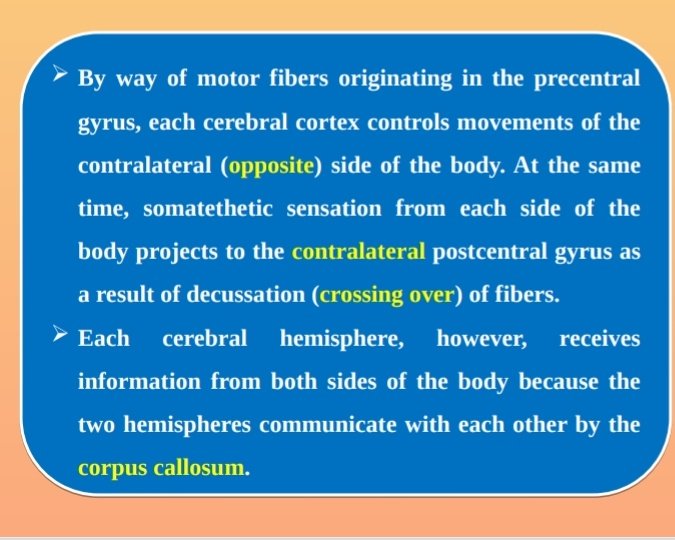 Abdollmonem⁦ tweet media