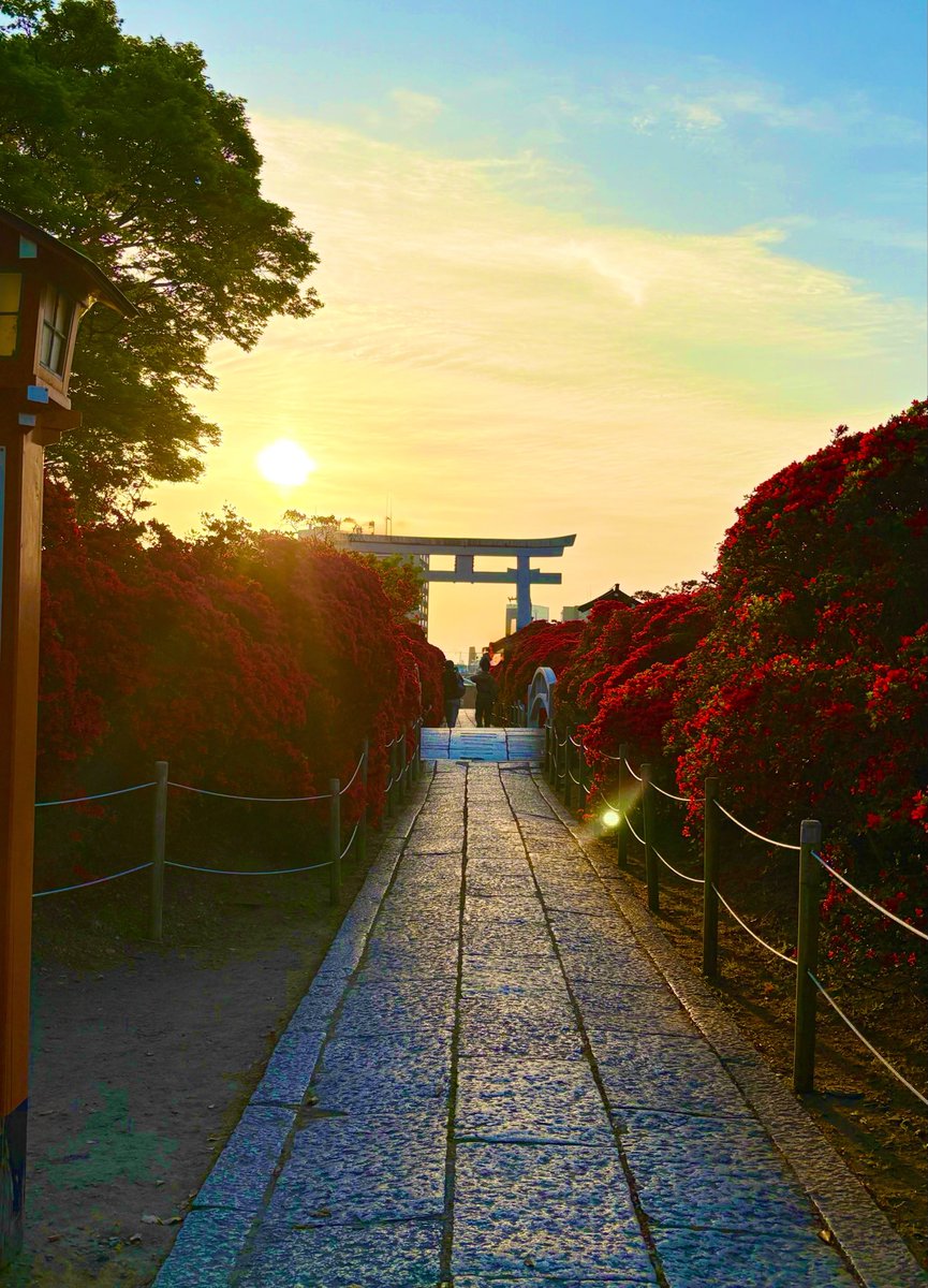 おはようございます✨
今週も素敵な一週間を🌈

#長岡天満宮