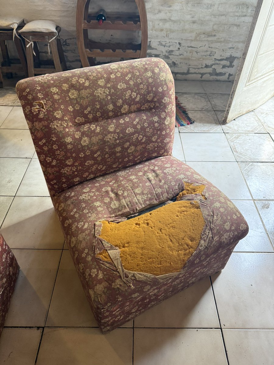 Jefa del ahorro tweet media