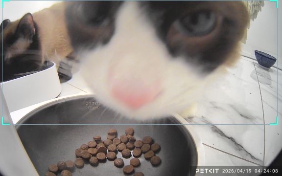 —      —
     🧄
     👄