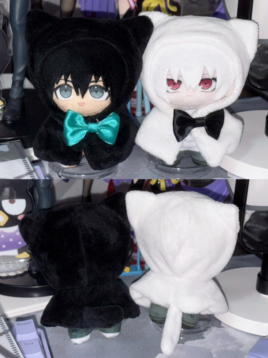 ぷちこ🐾 tweet media