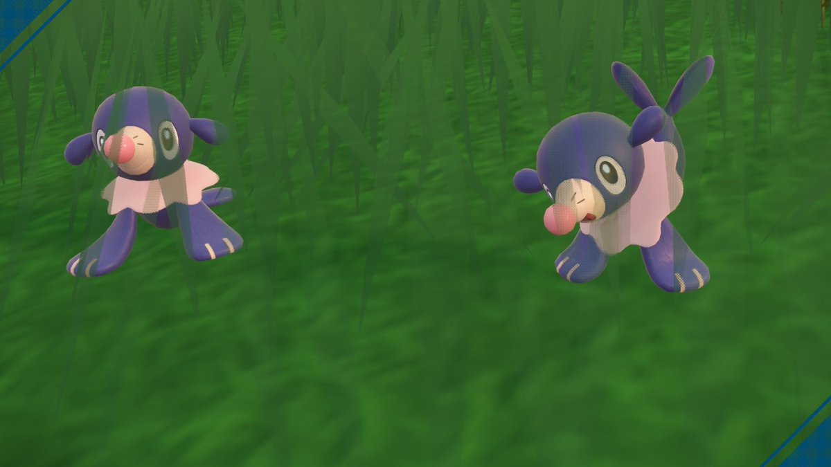 kawaiicollect0r's tweet image. Finally got myself not one, not two, but THREE shiny popplios! One is a girl 😭🩷#pokemonviolet #indigodisc