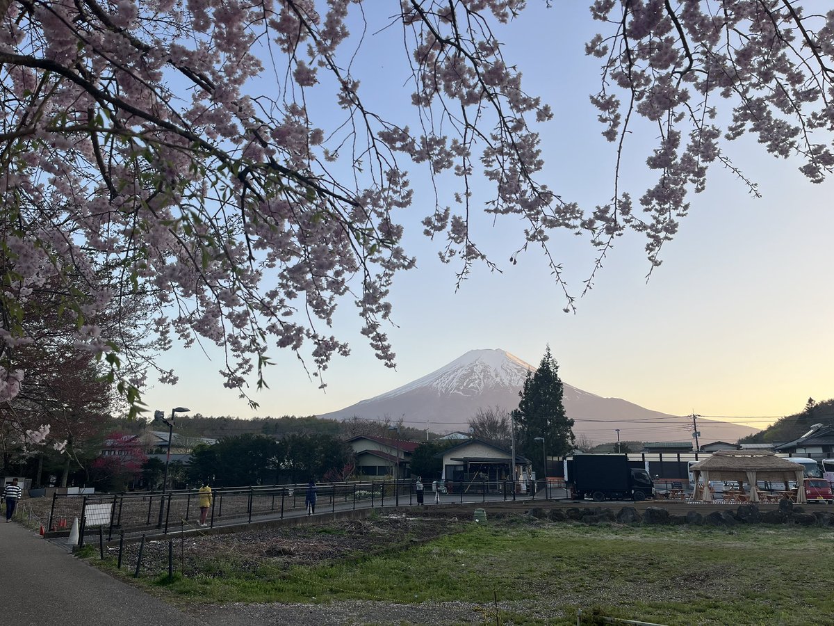 シン・ゴリラ@奈良ウルトラ100km tweet media