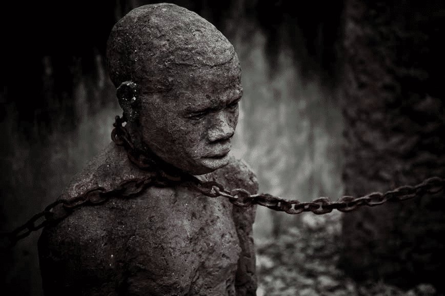 La Honte de l'Afrique tweet media