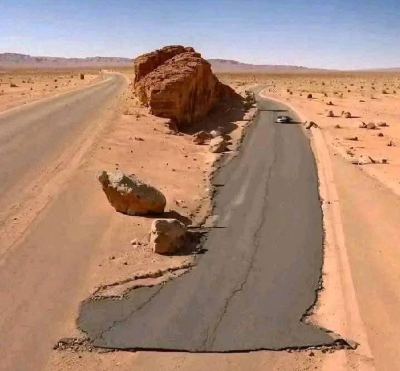 Freu Rodrigues tweet media