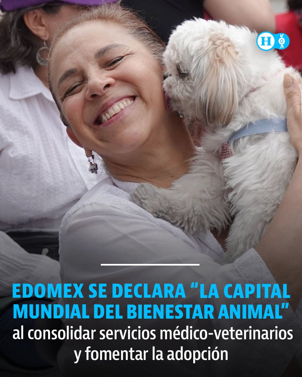 El Heraldo Estado de México tweet media