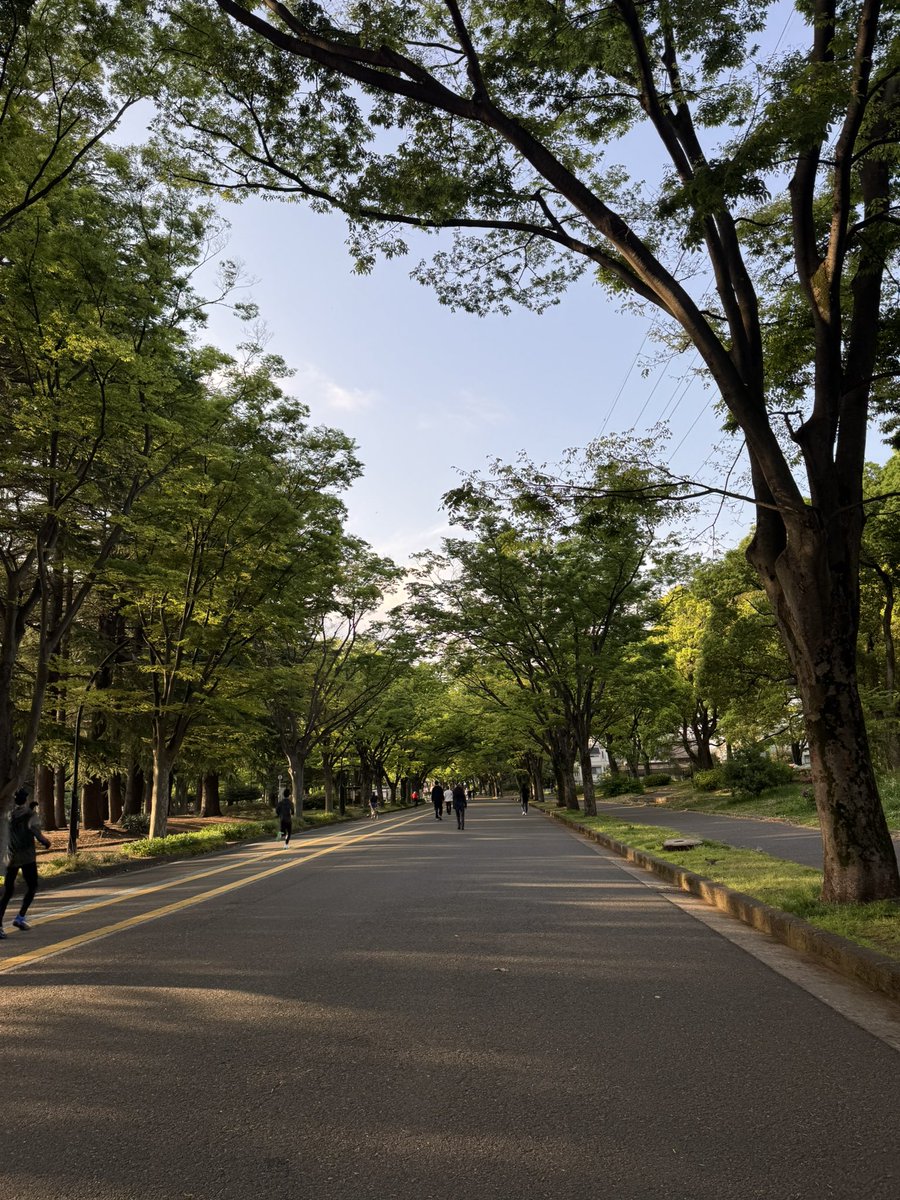 岡田 真治 tweet media