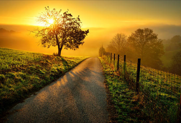 ShannonHypnotic's tweet image. Narcissists project their own shame onto you until you carry it for them. It’s time to hand that shame back. Rediscover your best self through hypnotherapy. shannon-doyle.com/toxic-relation… #hypnosis #hypnotherapy #toxicrelationships #toxicpeople #toxicfamily
#toxicrelationship