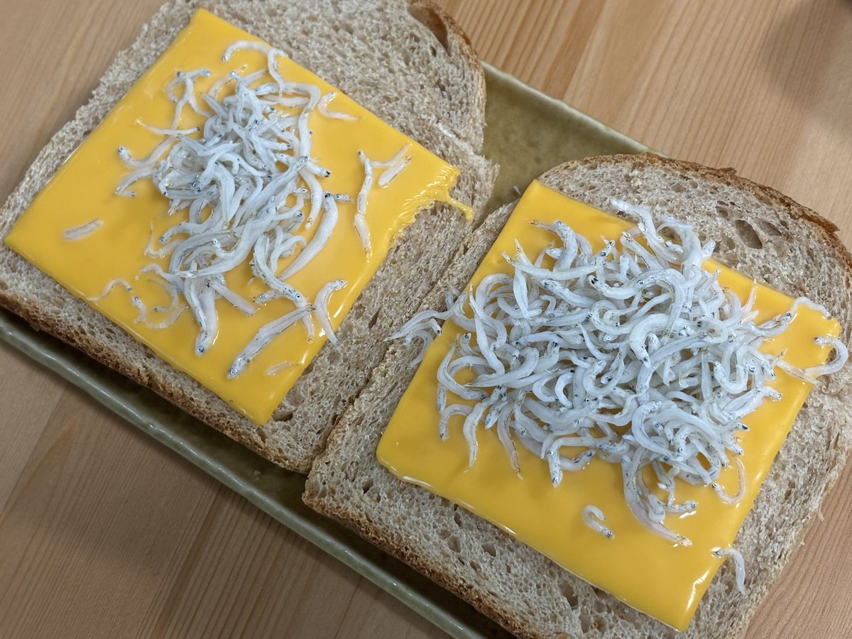 Sightsongs's tweet image. #breakfast