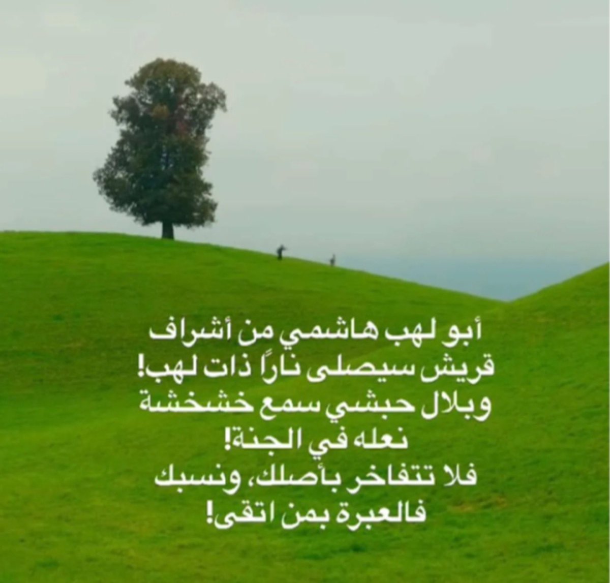 OraibAlbisher tweet media