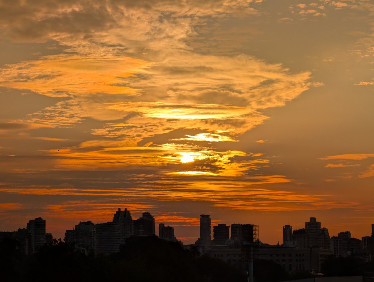 Sebastián Machado Malbrán ن 🇦🇷 🧭 🚜 tweet media