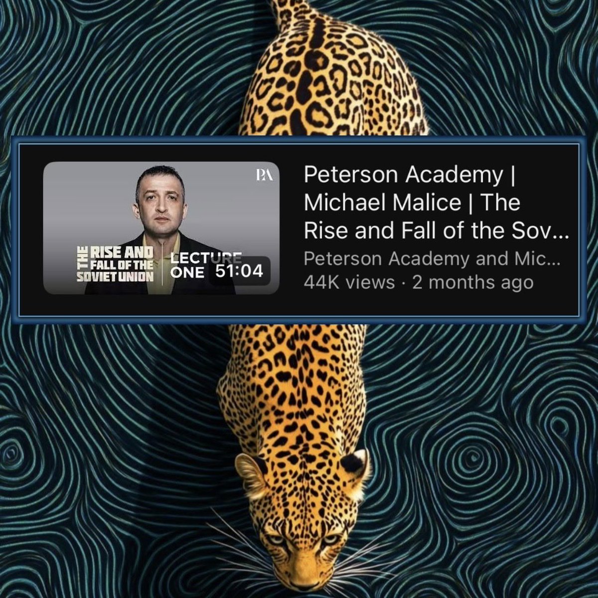 Joseph L. 🏴‍☠️ tweet media