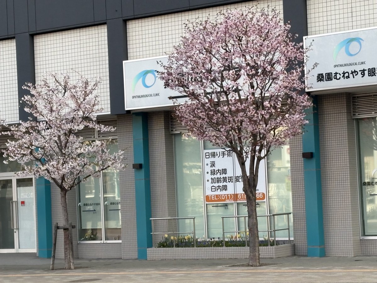 やまぴ tweet media