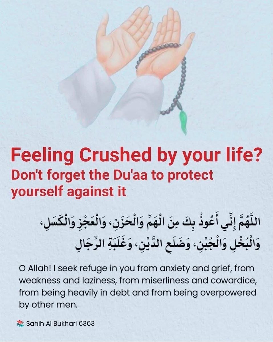 Dua_hub tweet media