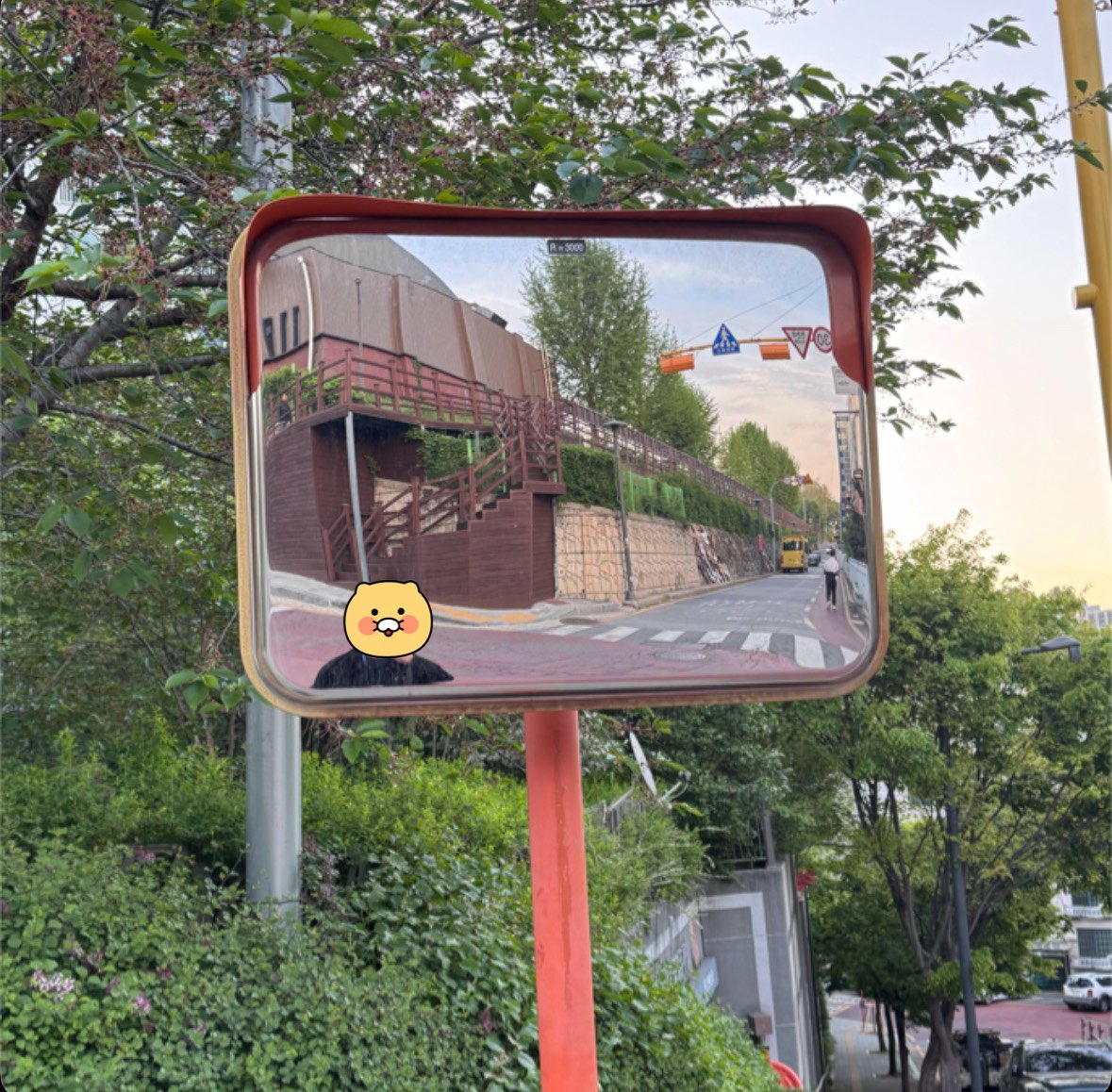 밀크바나나 tweet media