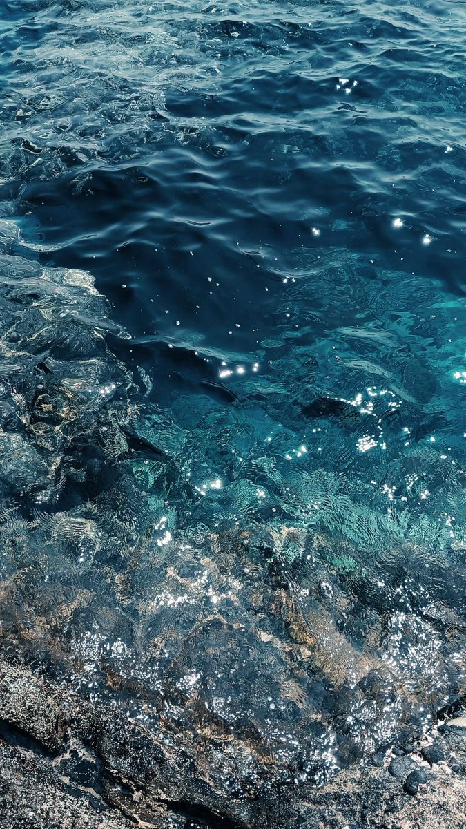 𝑙𝑦𝑟𝑎 tweet media