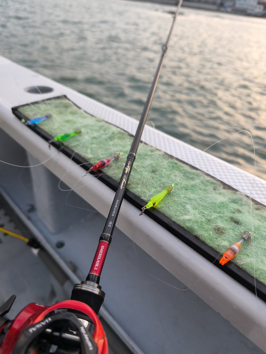 まこなみ丸 tweet media