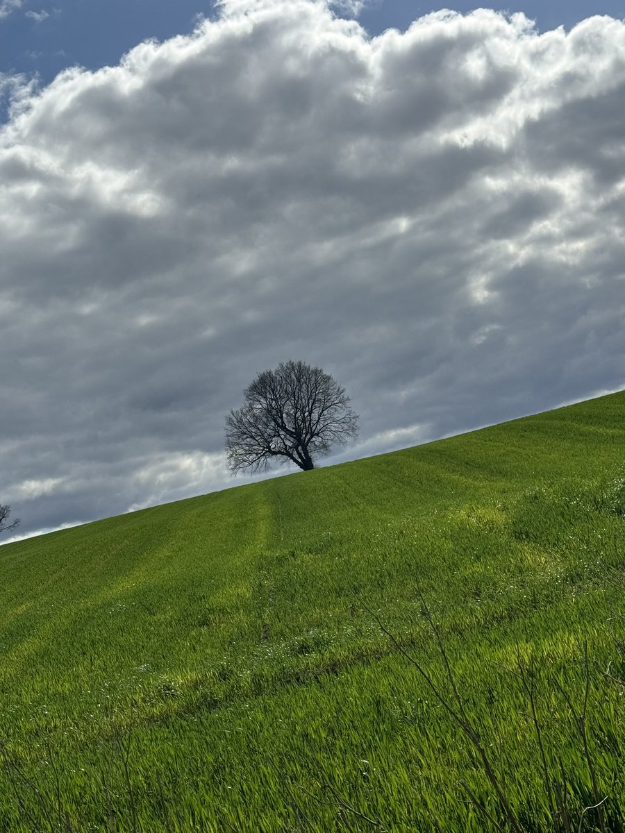 Darrell Mitchell #MDANT tweet media