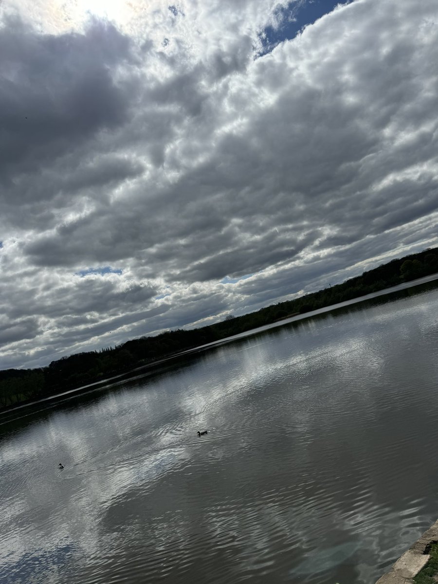 Darrell Mitchell #MDANT tweet media