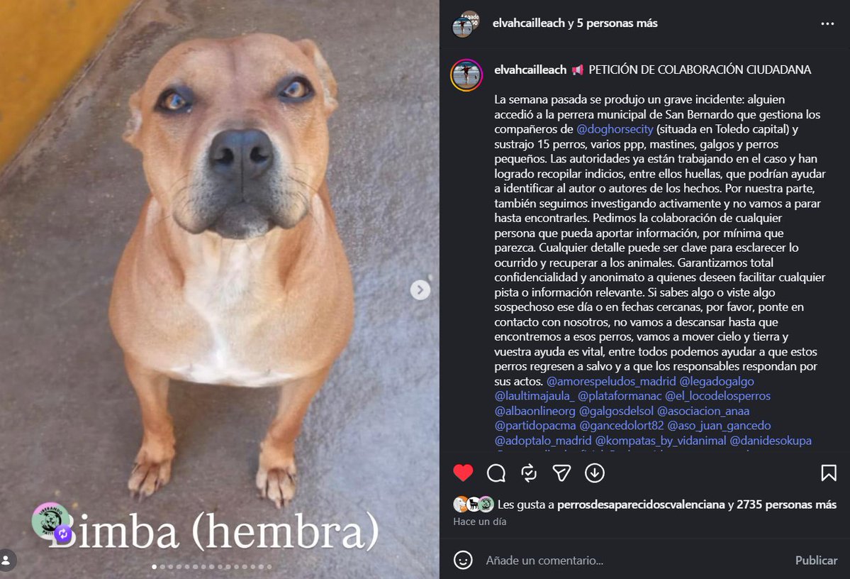 Nuria tweet media