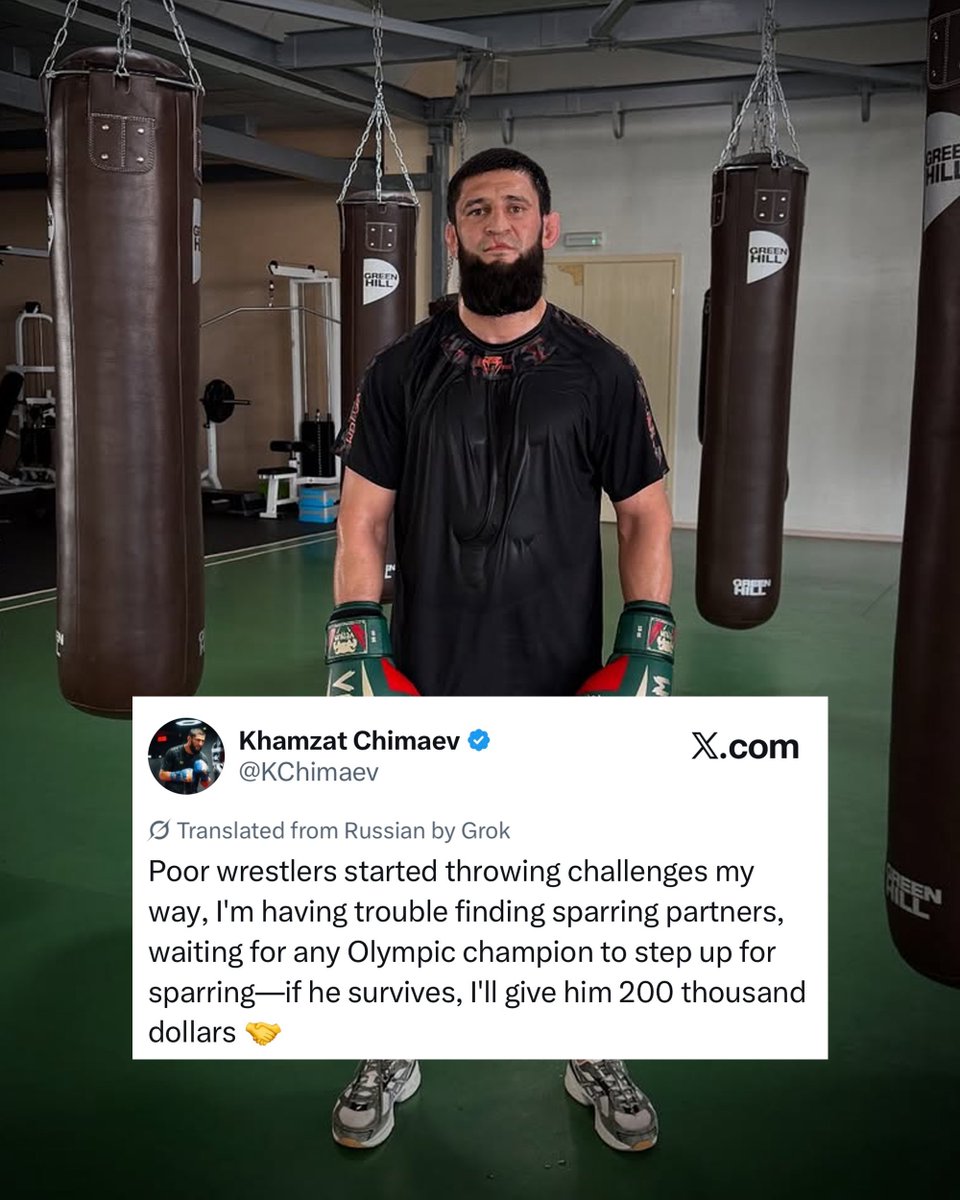 Home of Fight tweet media