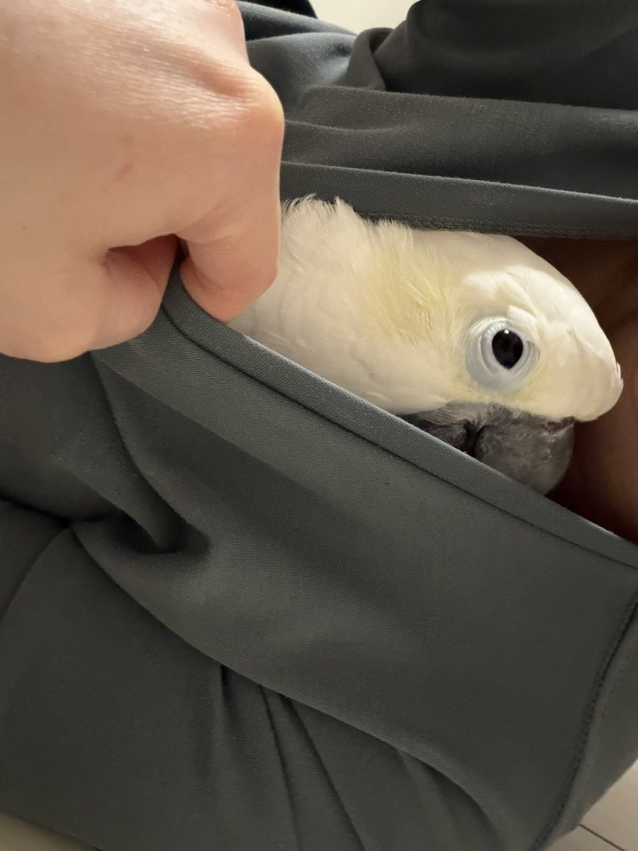 ✳︎🐣🦆🍑🍇🍉Toriko🍒🐥🦉🍐✳︎ tweet media