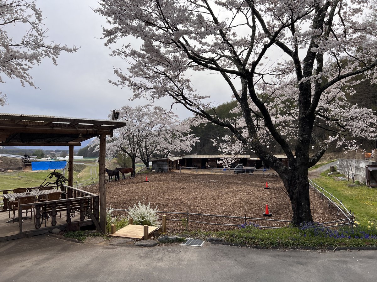 かずまさ@薪ストーブ職人二代目 tweet media